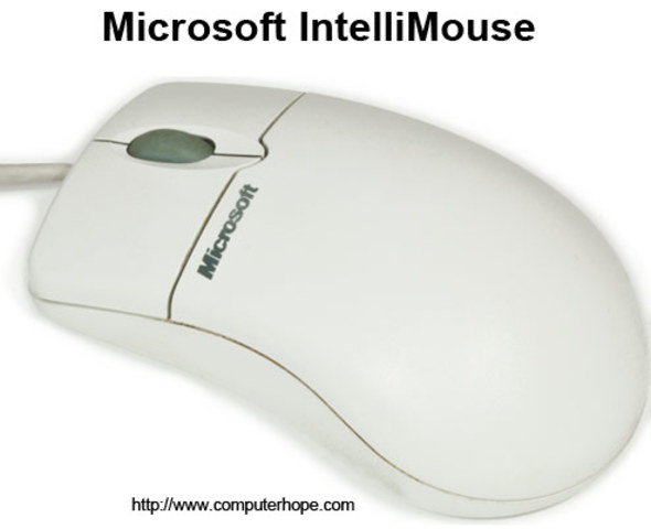 IntelliMouse introduced by Microsoft