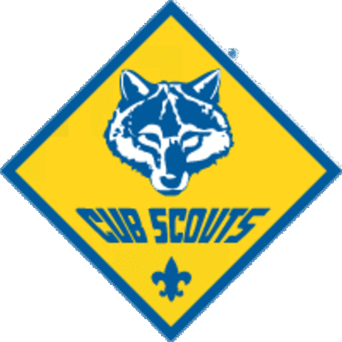 First Cub Scout Meeting