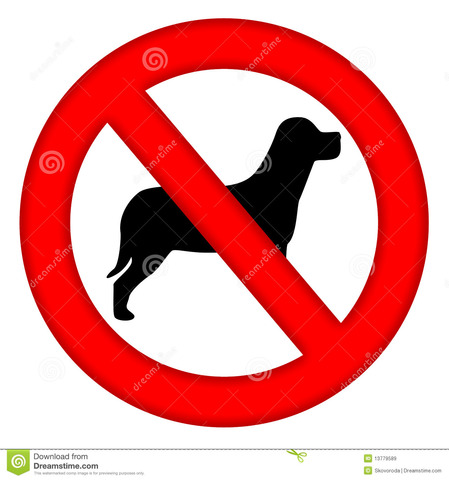 Finding Out i was allergic to Dogs