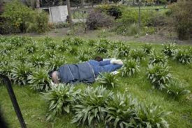 Lennie realizes he did a bad thing again and leaves to hide in the brush like George told him to if he does a bad thing again. While hiding, he hallucinates his Aunt Clara and a giant rabbit scolding him in his own voice.