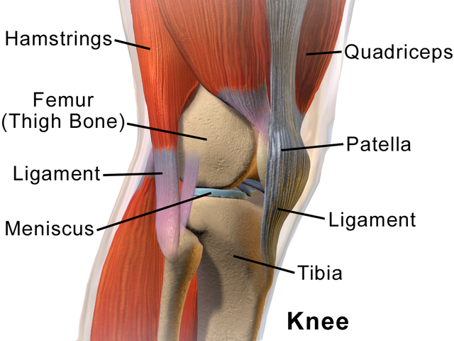 Knee Injury