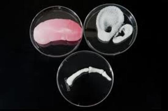 Organite loomine 3D printeriga