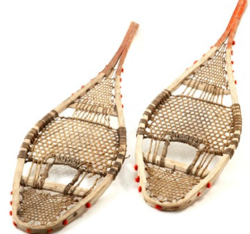 Organization and occupation of the territory