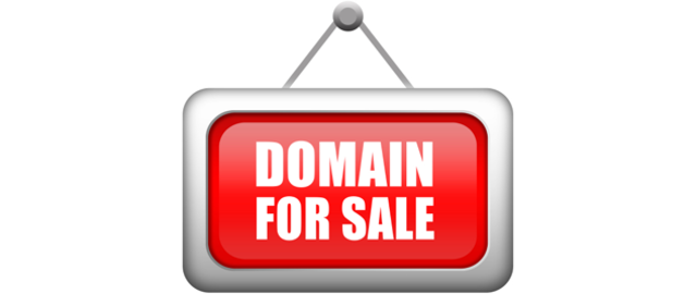 The domain name system was created
