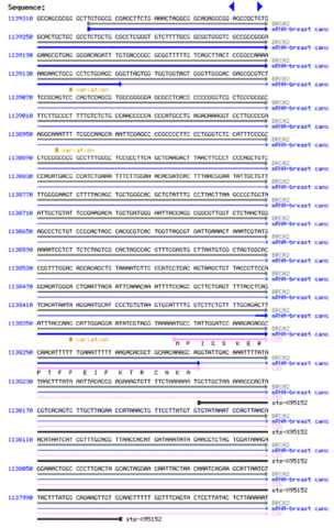Sequencing of the Human Genome