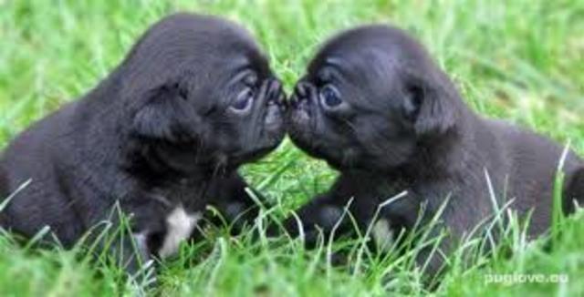 First Kiss!!