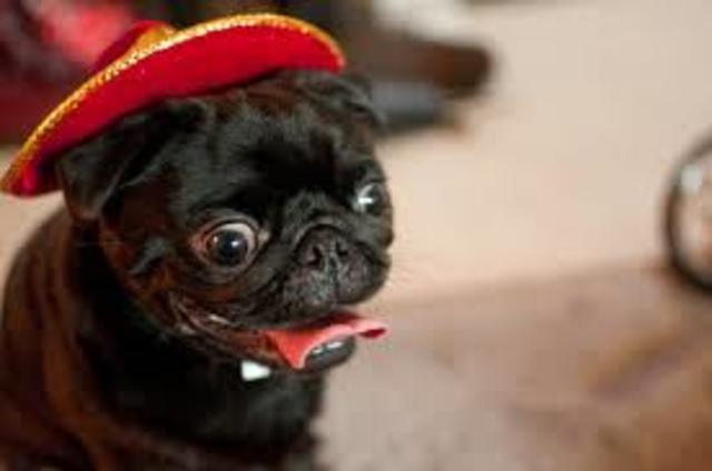 Left the county for the first time