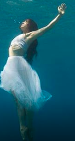 Anytime Anyplace School