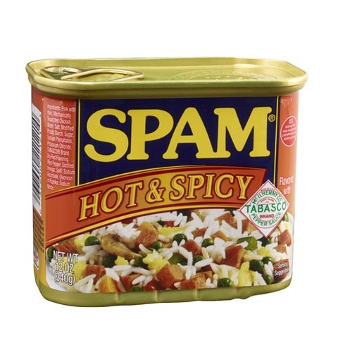 Spam is born