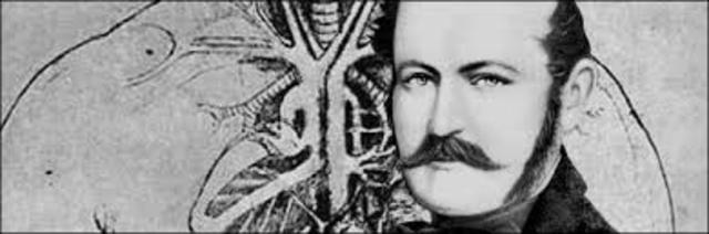 Semmelweis y la Sociedad de su época