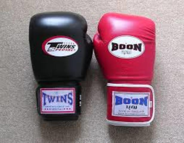 boons boxing gloves