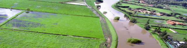 Atlas Ingeniería es pionera