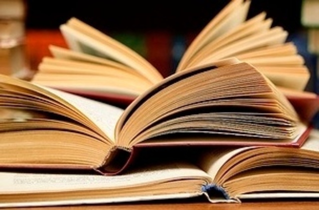 Read two novels before 2016