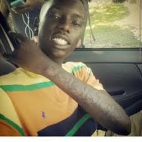 isaac newton formulated the laws of gravity