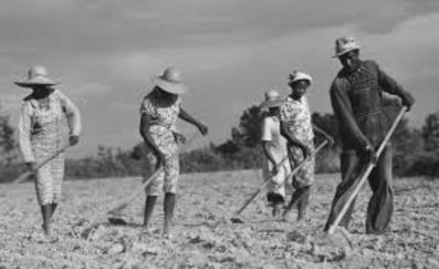 Sharecropping