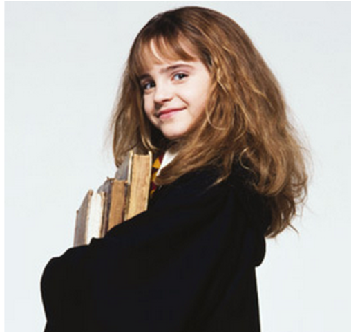 Harry Potter Career Part 1