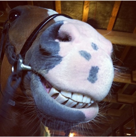 I Got SR Heres Johny