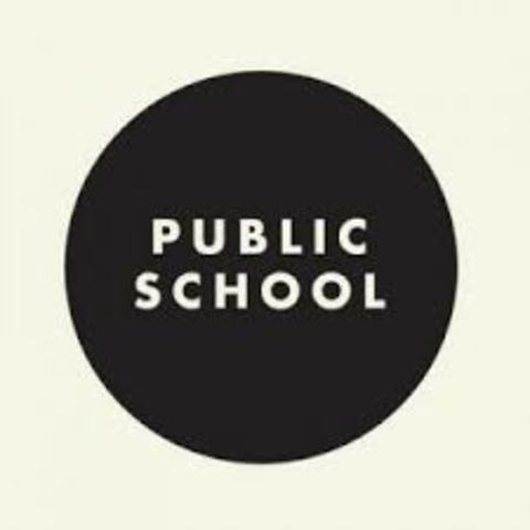 public  school