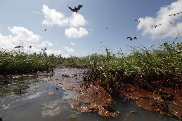 BP wants to keep using controversial dispersant