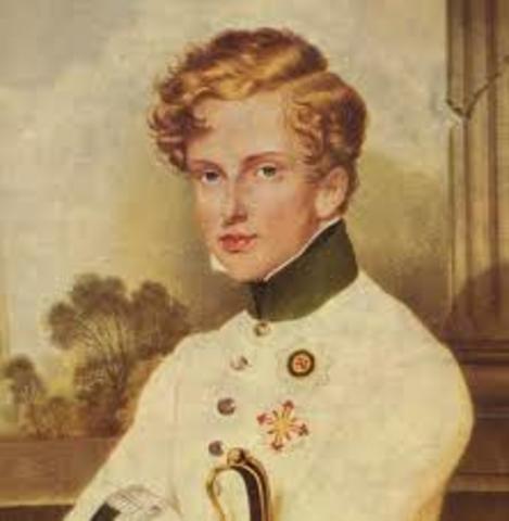 Napoleon’s son born