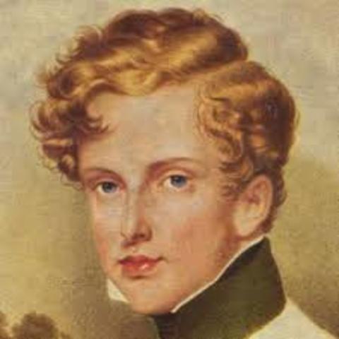 Napolean's Son is Born