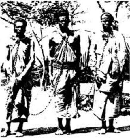 First Africans Brought to North America