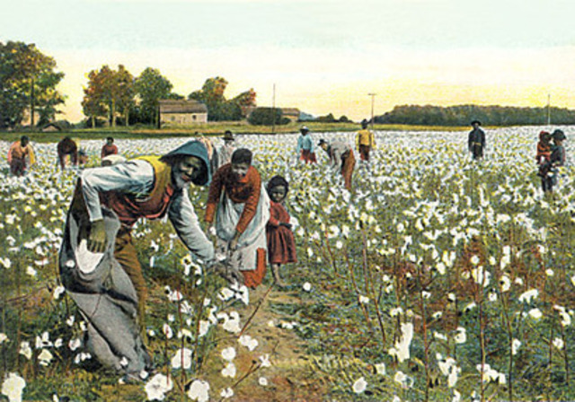 Sharecropping/ tent farming