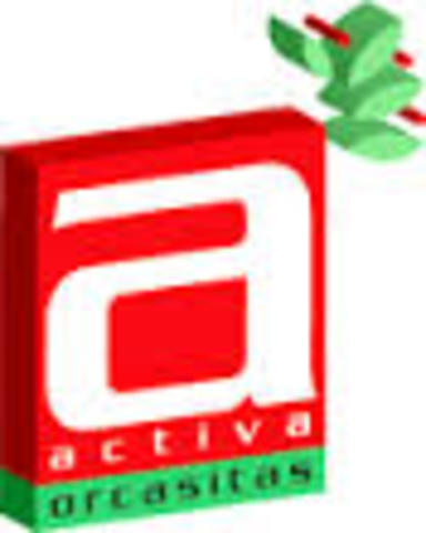 Proyecto Activa Orcasitas