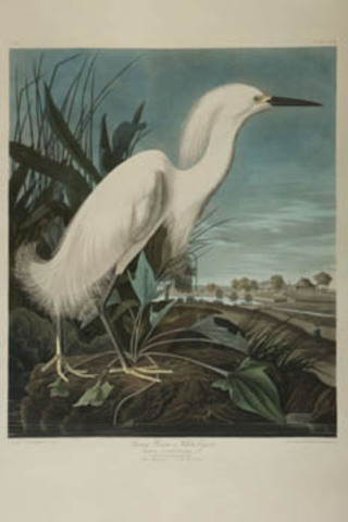 John James Audubon