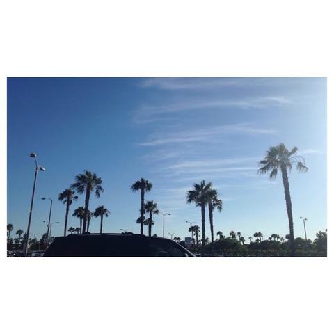 My Trip to Sunny San Diego