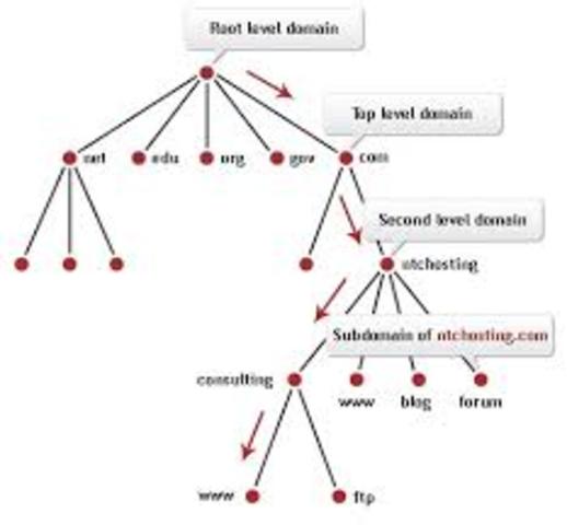 The domain name system was created