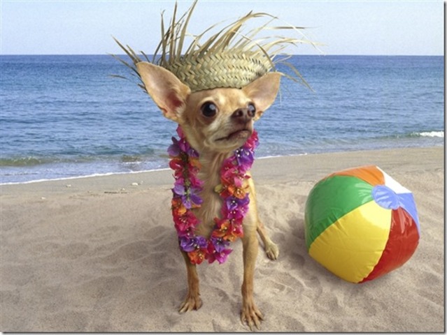 my vacations from primary to secondary begins