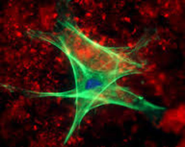 The start of science