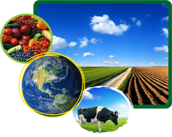 Ley de Reforma a las Sanciones Comerciales y Ampliación de las Exportaciones (2000)