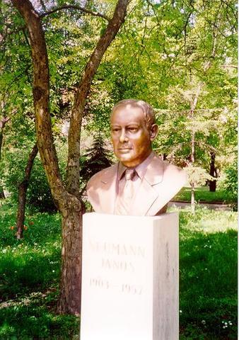 Kváziperiódikus hipotézis