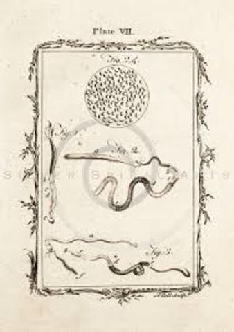 Biology and Medicine