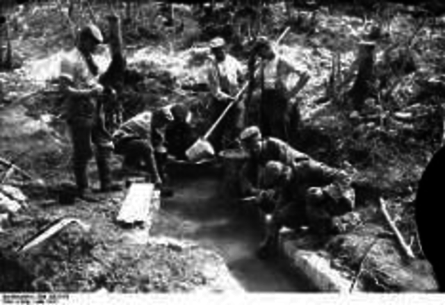 Battle of Argonne Forest