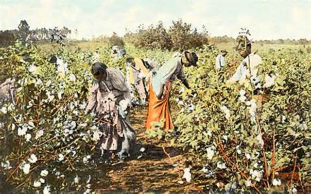 sharecropping/Tenant Farming