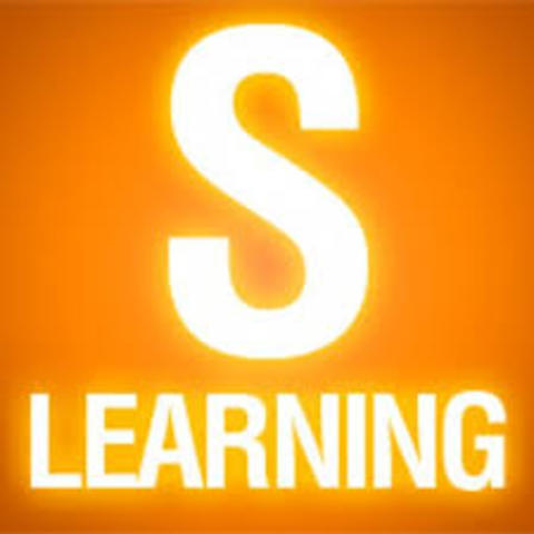 S-learning
