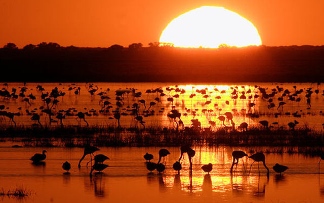 Una excursión en primero para cultivar.