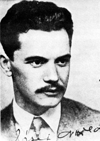 Bukj föl az árból