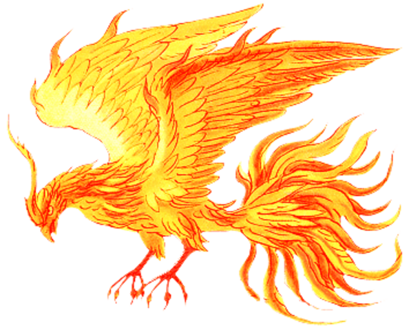 SUFRO  UN ACCIDENTE  EN MI MANO  DERECHA