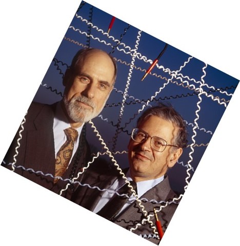 LOS PAQUETES DE INFORMACION INICIAN SU VIAJE