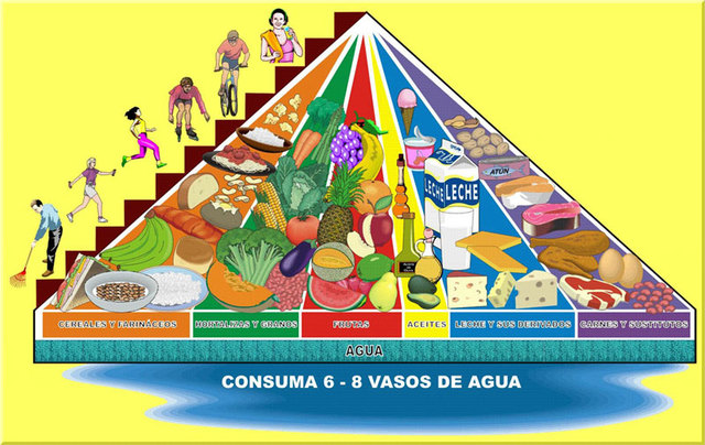 Equilibrio entre alimentación y ejercicio físico
