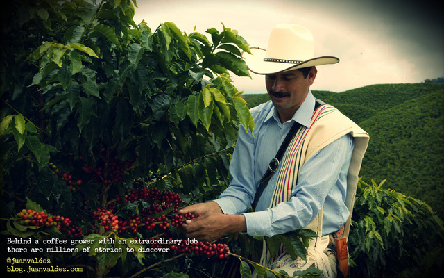 FEDERACION DE CAFETEROS