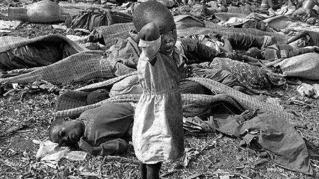 Constitution of the International Refugee Organisation