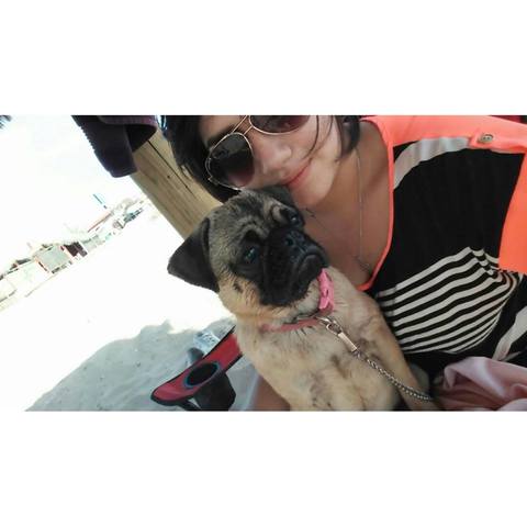 Nueva integrante de la familia, Rox