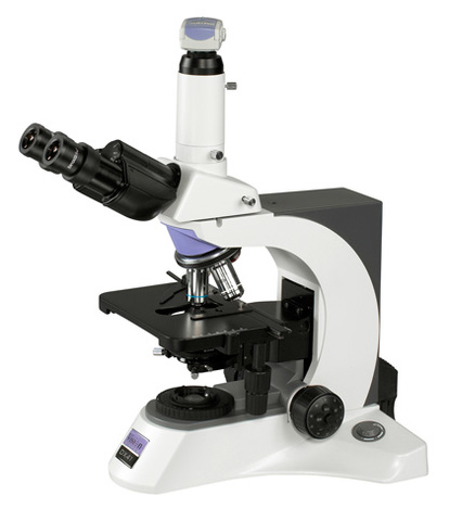 Modern Microscope