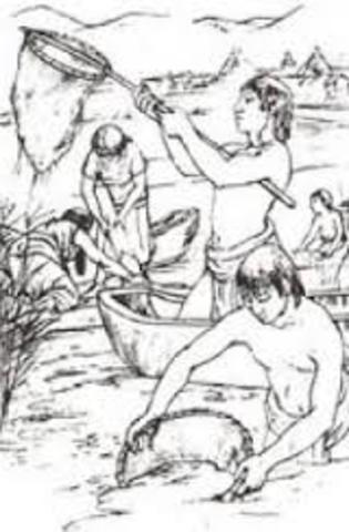 Primeras aplicaciones de la Biotecnología