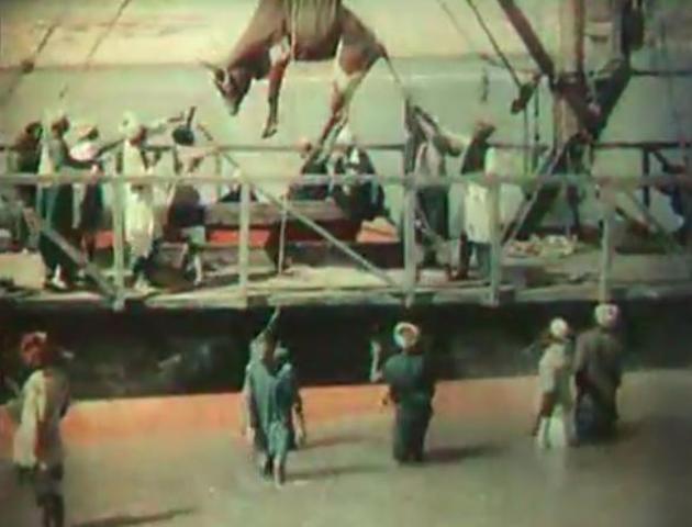 el KINEMACOLOR y "LA RIBERA DEL NILO" de